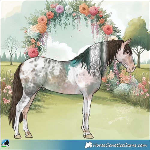 Horse Color:Buckskin Ice Tobiano Appaloosa 