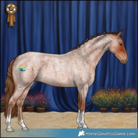 Horse Color:Red Roan 