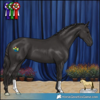 Horse Color:Smoky Black 
