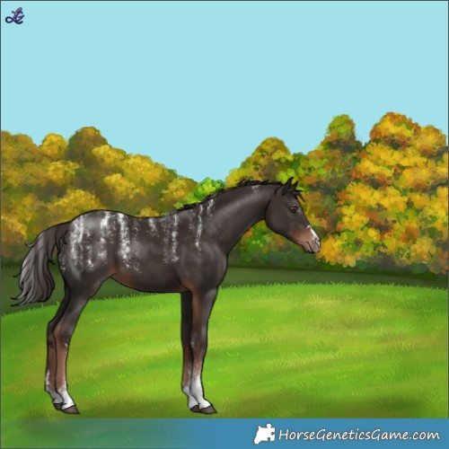 Horse Color:Powder White Liver Chestnut 