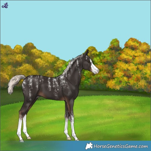 Horse Color:Powder White White Spotted Liver Chestnut Mushroom 