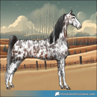 Horse Color:Bay Sabino Splash Leopard  and Bay Sabino Splash Leopard 