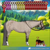 Horse Color:Liver Red Dun Varnish Brindle 