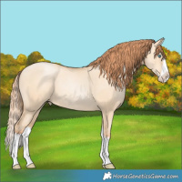 Horse Color:Classic Champagne Pearl Dun Splash 