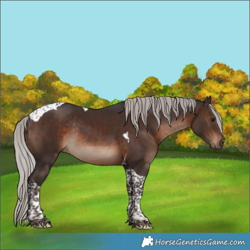 Horse Color:Silver Brown Tobiano Rabicano 