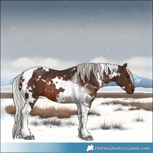 Horse Color:White Spotted Silver Brown Tobiano Rabicano 