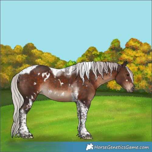 Horse Color:White Spotted Silver Brown Tobiano Rabicano 