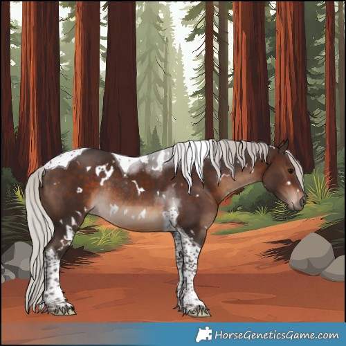Horse Color:White Spotted Silver Brown Tobiano Rabicano 