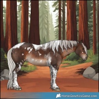 Horse Color:White Spotted Silver Brown Tobiano Rabicano 