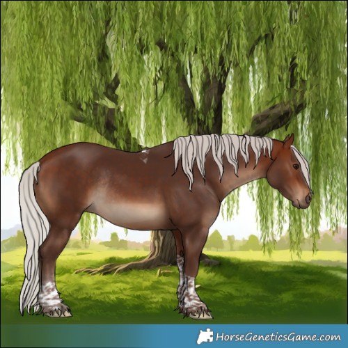 Horse Color:Silver Brown Tobiano Rabicano 
