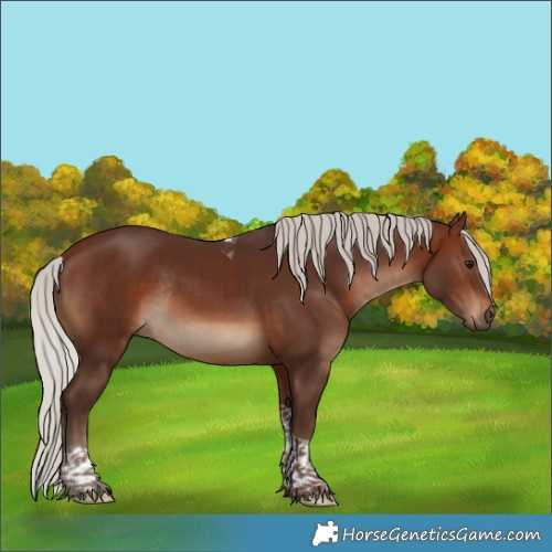 Horse Color:Silver Brown Tobiano Rabicano 