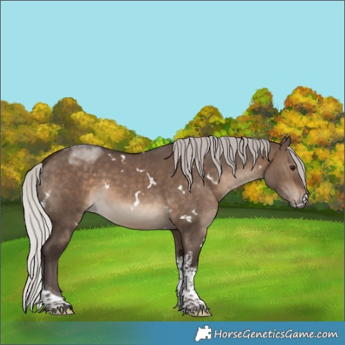 Horse Color:White Spotted Silver Brown Dun Tobiano 
