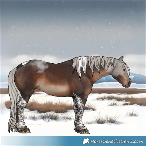 Horse Color:Silver Brown Tobiano 