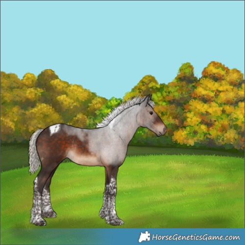 Horse Color:Silver Brown Tobiano Rabicano 