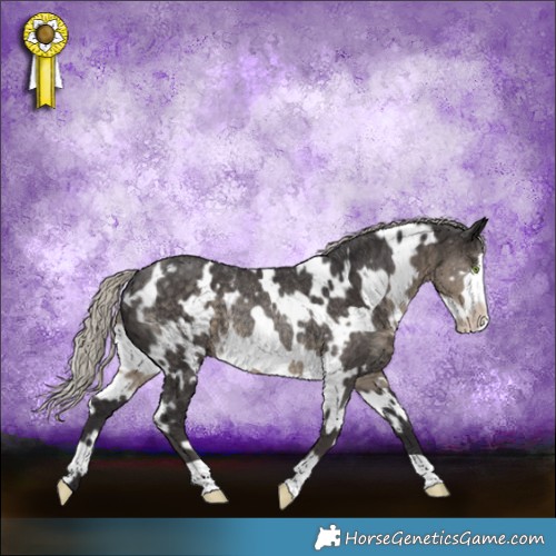 Horse Color:White Spotted Silver Smoky Black Frame Rabicano 