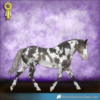 Horse Color:White Spotted Silver Smoky Black Frame Rabicano 