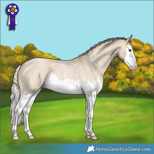 Horse Color:Silver Buckskin Roan Dun Splash 