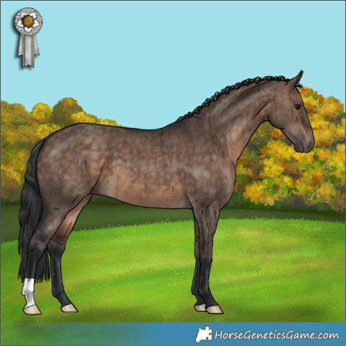 Horse Color:Bay Dun Brindle 