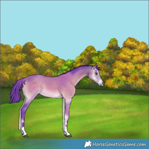 Horse Color:Watercolor Buckskin Onyx Tobiano 