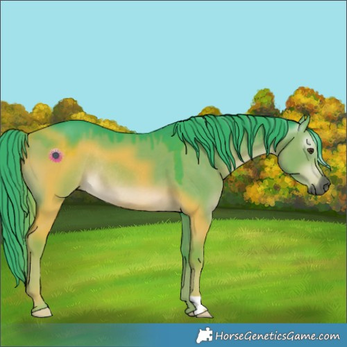 Horse Color:Gray Watercolor Liver Red Dun Rabicano 
