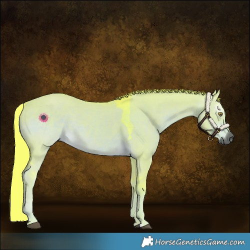 Horse Color:Gray Watercolor Liver Red Dun Rabicano 