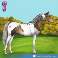 Horse Color:Silver Buckskin Tobiano 