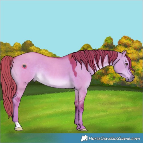 Horse Color:Watercolor Liver Red Dun Rabicano 