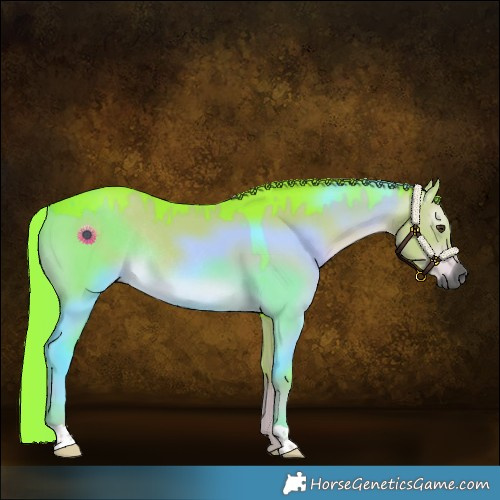 Horse Color:Gray Watercolor Liver Red Dun Rabicano 
