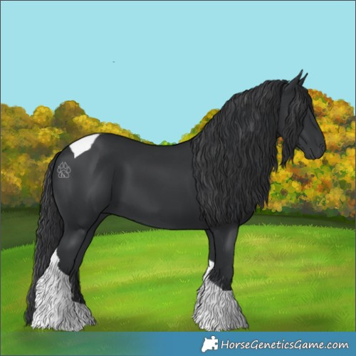 Horse Color:Black Tobiano 