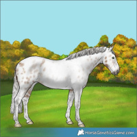 Horse Color:Gray White Spotted Silver Bay Snowdrop Pearl Dun Splash Tobiano Frame Near Leopard Rabicano 