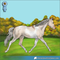 Horse Color:Silver Brown Pearl Dun Tobiano Varnish 