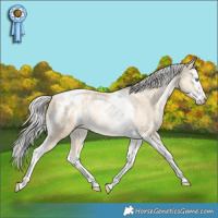 Horse Color:Silver Amber Cream Champagne Pearl Splash Tobiano Blanket Rabicano 