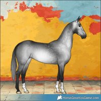 Horse Color:Gray Black 