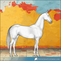 Horse Color:Gray Smoky Black Splash Rabicano 
