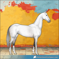 Horse Color:Gray Bay Rabicano 