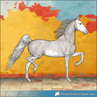 Horse Color:Silver Blue Roan Splash Rabicano 