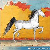 Horse Color:Blue Roan Splash Rabicano 