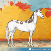 Horse Color:White Spotted Silver Black Splash Rabicano 