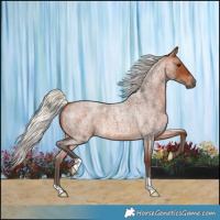 Horse Color:Silver Bay Roan 