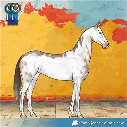 Horse Color:Buckskin Sabino Splash Frame Rabicano 