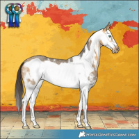 Horse Color:Buckskin Sabino Splash Frame Rabicano 