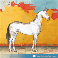 Horse Color:Buckskin Sabino Splash Frame Rabicano 