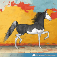 Horse Color:Black Splash Rabicano