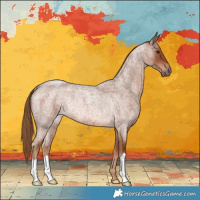 Horse Color:Red Roan Rabicano