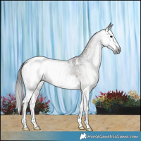 Horse Color:Gray Bay Roan Splash Blanket 