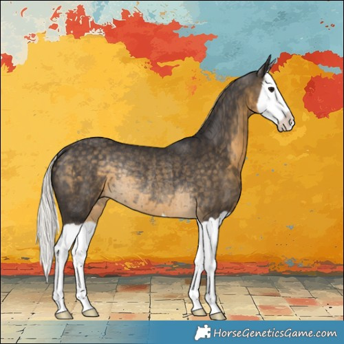 Horse Color:Silver Smoky Black Splash Rabicano 