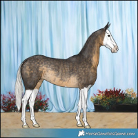 Horse Color:Silver Smoky Black Splash Rabicano 