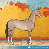 Horse Color:Amber Champagne Rabicano 
