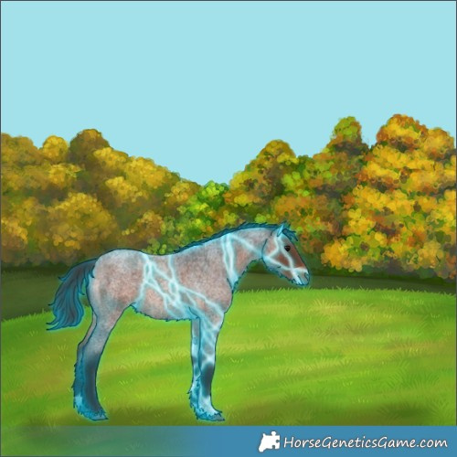 Horse Color:Thunderstruck Brown Roan 