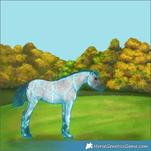 Horse Color:Thunderstruck Grullo Roan 